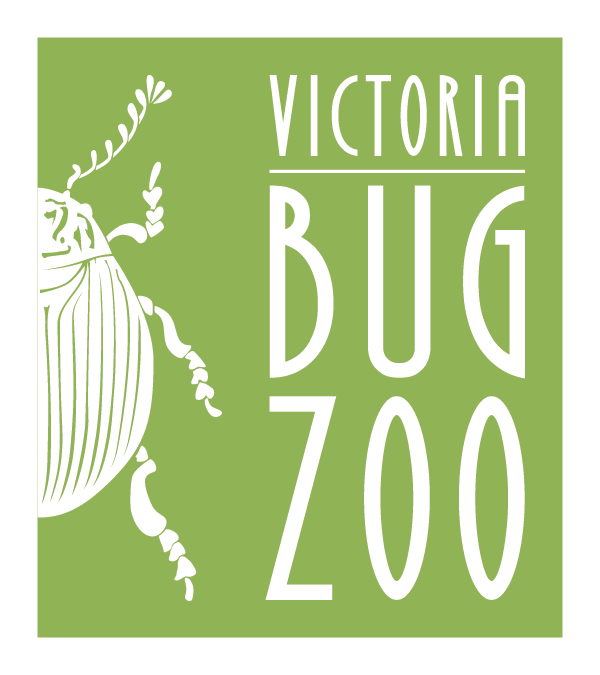 Victoria Bug Zoo – Accessibility Hour