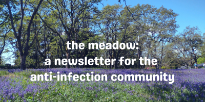 The Meadow Newsletter