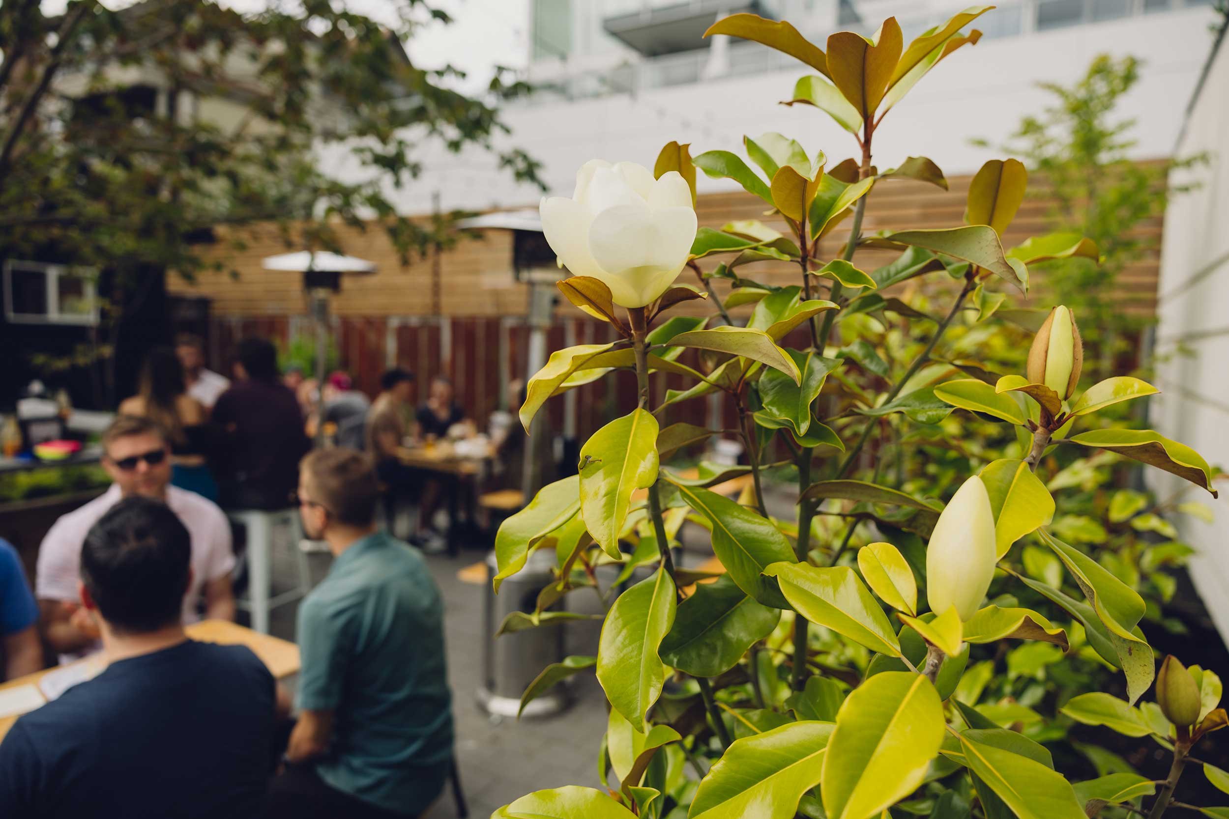 Boomtown Burritos and Beer Garden